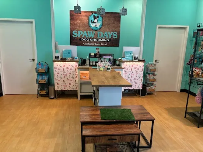 Spaw Days Grooming - Cat grooming in Peachtree City