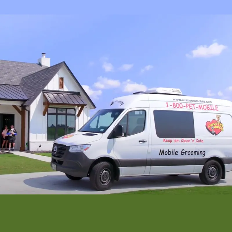Aussie Pet Mobile of Carlsbad, Rancho Santa Fe, and Del Mar - Cat grooming in San Diego