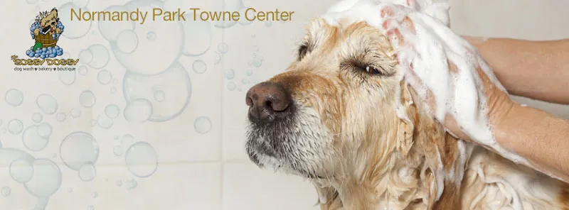 The Soggy Doggy - Cat grooming in Normandy Park