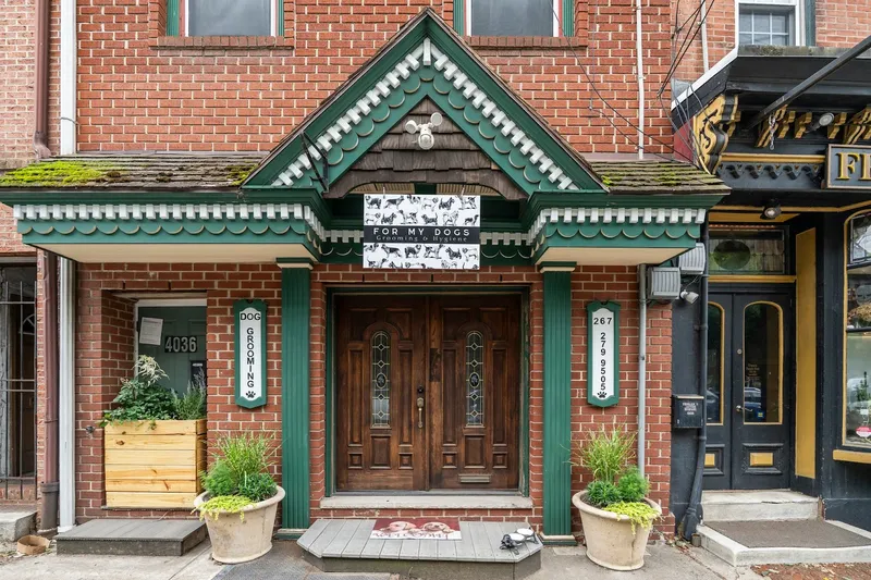 For My Dogs Grooming & Hygiene - Cat grooming in Philadelphia