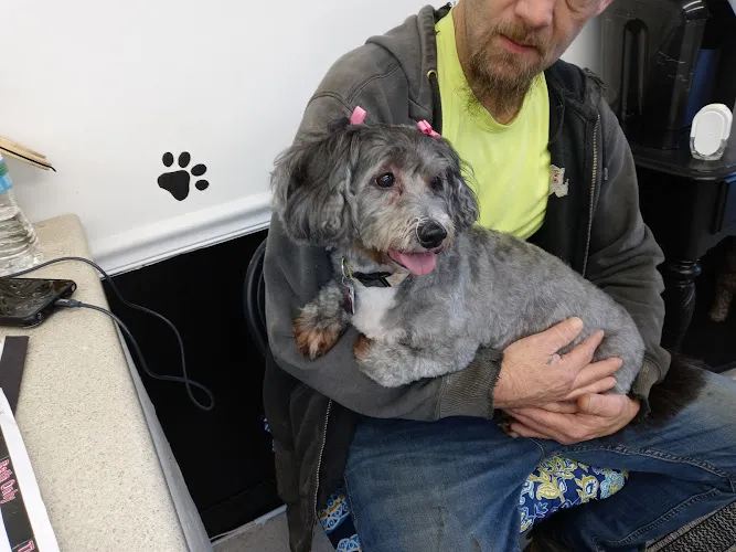 Mary's Pooch Parlor - Mobile cat grooming in Rootstown, OH