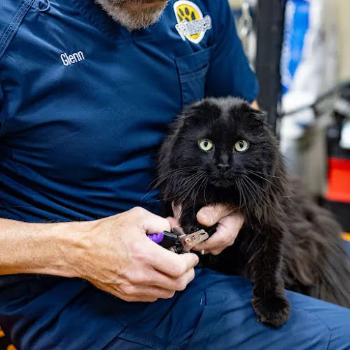 Peticured - Pet Nail Specialists - Mobile cat grooming in Rochester Hills, MI