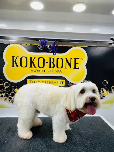 Koko-Bone Pet Boutique & Mobile Grooming - Mobile cat grooming in Weston, FL