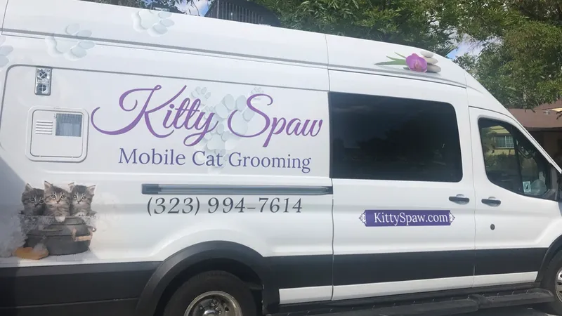 Kitty Spaw - Cat grooming in Los Angeles