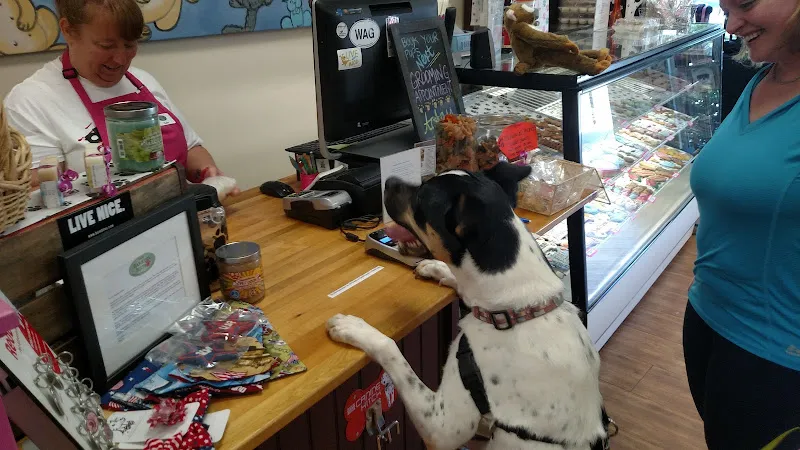 The Barkery Bistro, Pet Bakery & Grooming Salon - Cat grooming in Greenville
