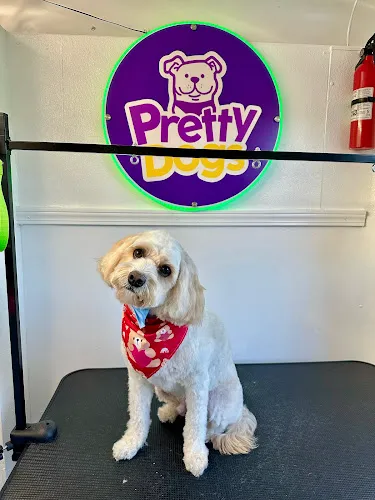 Pretty Dogs Mobile Grooming - Cat grooming in Orlando