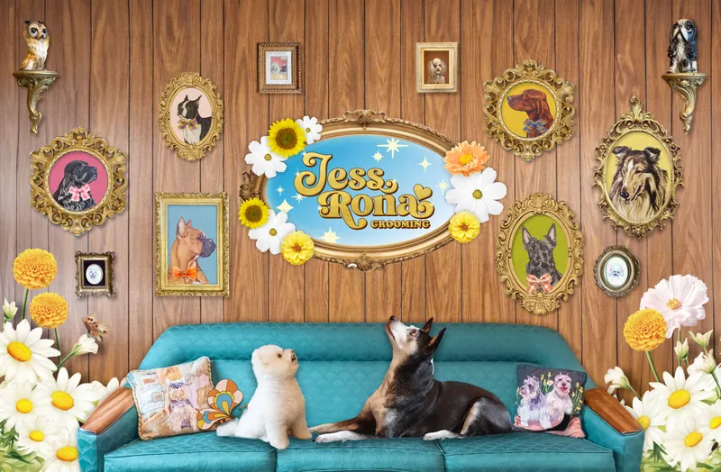 Jess Rona Grooming - Cat grooming in Los Angeles