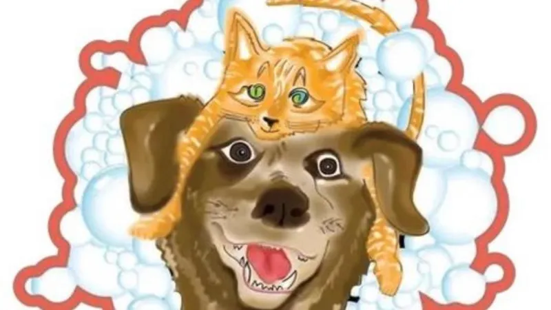 Brooklyn Pet Spa - Mobile cat grooming in Brooklyn, NY