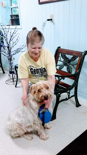 Springwood Pet Boarding And Grooming - Professional cat grooming in Hephzibah, GA