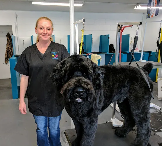 Four Paws Pet Salon - Cat grooming in Cheyenne