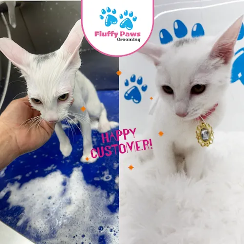 Fluffy Paws Grooming - Cat grooming in North Hills