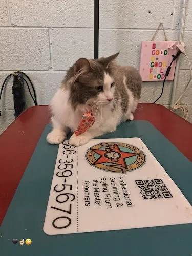 HollyWoof Pet Salon - Cat grooming in Clinton Township