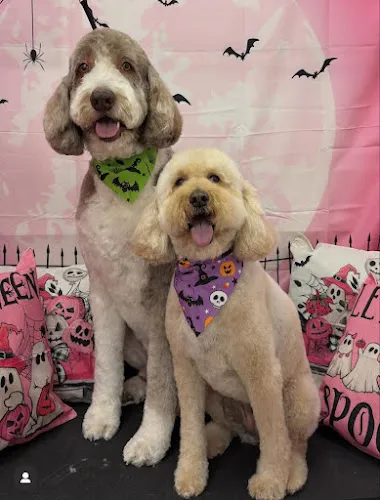 Woof Gang Bakery & Grooming Hoboken - Cat grooming in Hoboken