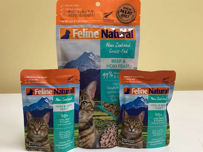 Pet Evolution - Shoreline, WA - Grooming | Self-Wash | Healthy Food | Mobile Nail Trim - Cat grooming in Shoreline