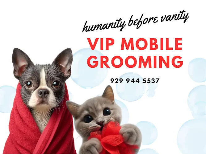 VIP Mobile Grooming Lakewood Ranch - Cat grooming in Bradenton