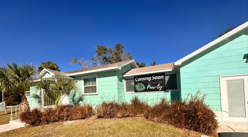 Ready to Paw-ty Pet Spa & Market - Cat grooming in New Port Richey