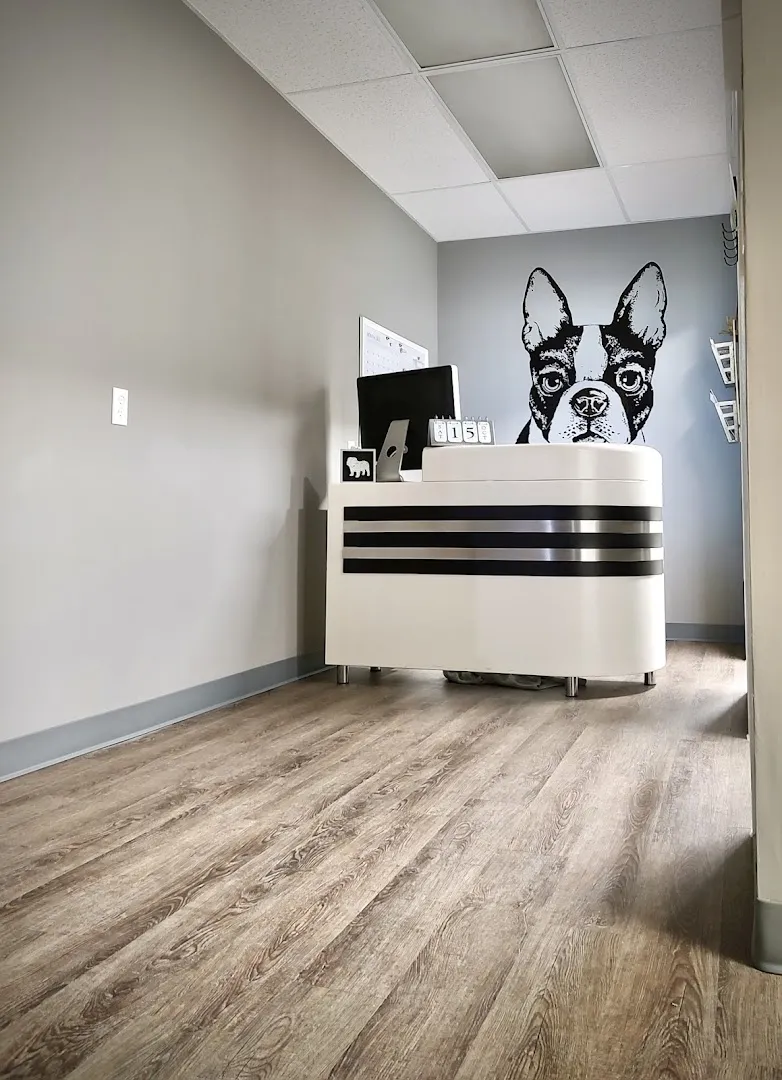 Spa 4 Pawz Grooming Studio - Mobile cat grooming in Houston, TX