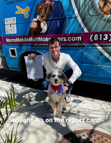 Mom's Mobile Mutt Makeovers - Cat grooming in Tampa