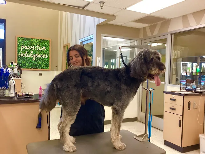Petco Grooming - Cat grooming in Canoga Park