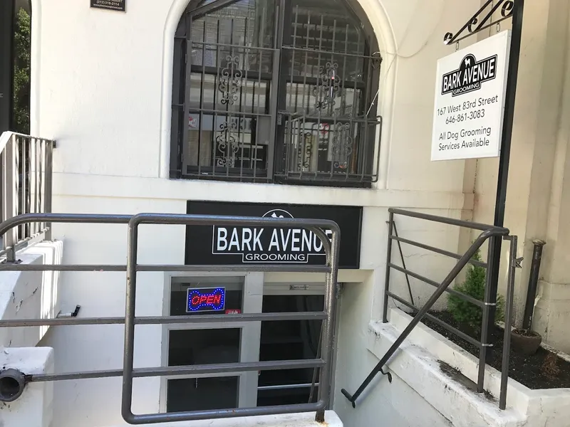 Bark Avenue Grooming - Cat grooming in New York