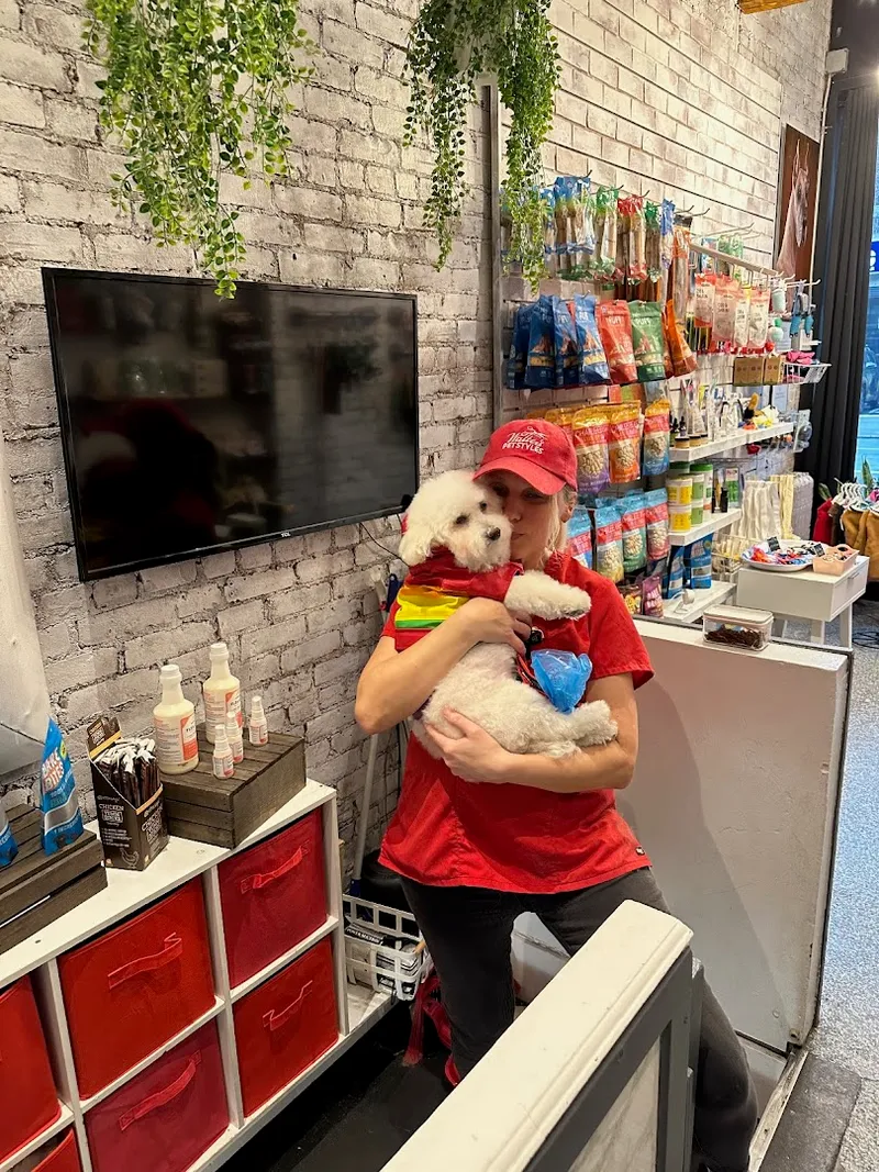 Walter's Pet Styles - Mobile cat grooming in New York, NY