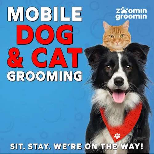 Zoomin Groomin - Mobile cat grooming in Brooklyn, NY