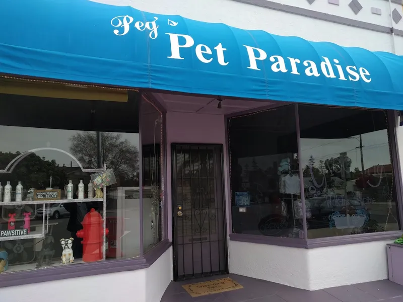 Pet Paradise - Cat grooming in San Diego