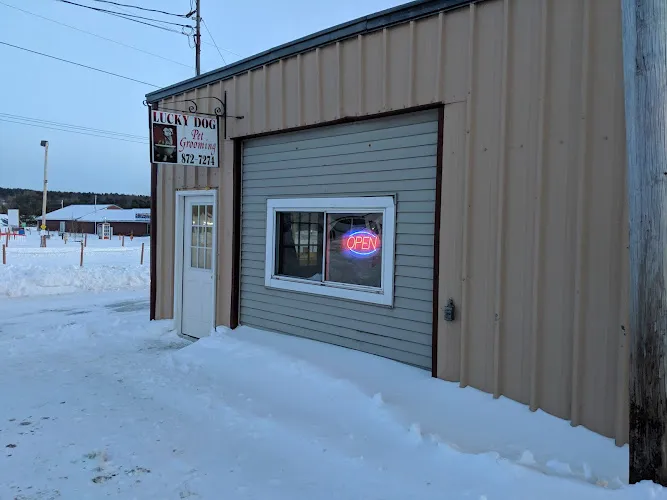 Lucky Dog Pet Grooming - Professional cat grooming in Benton, ME