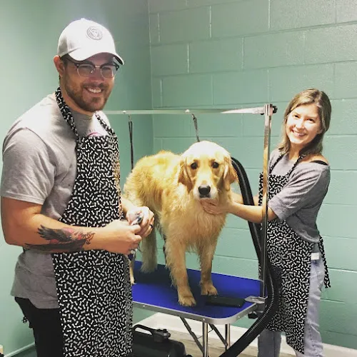 Fetch Petwash LLC - Cat grooming in Lexington