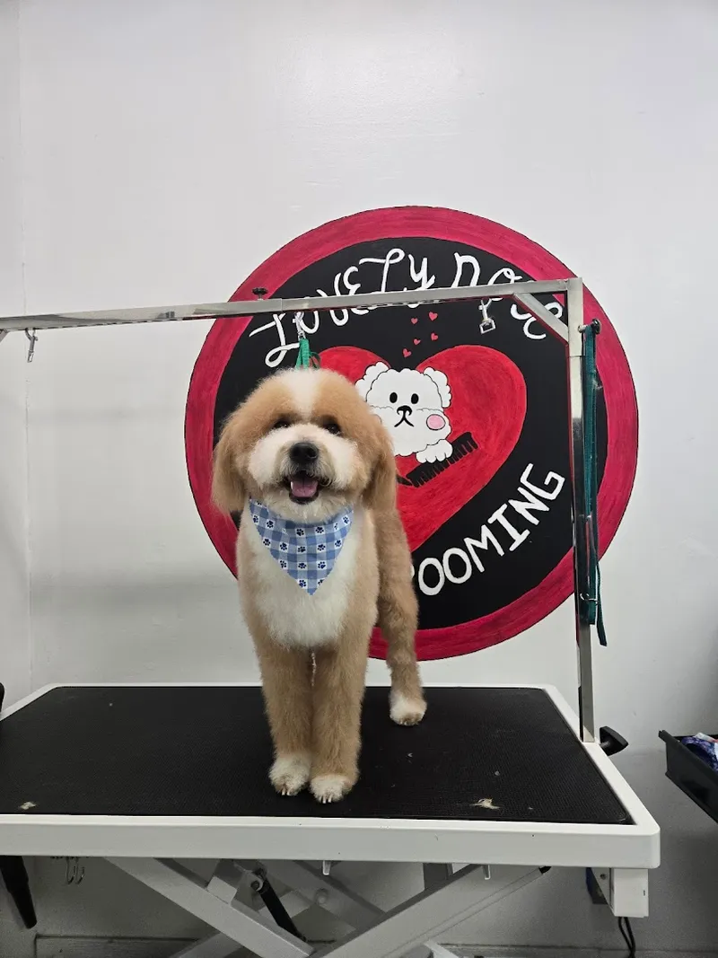 Lovely Nose Pet Grooming - Cat grooming in Los Angeles
