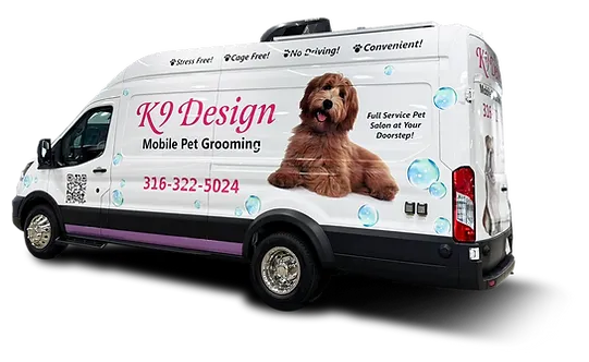 K9 Design Wichita - Cat grooming in Wichita