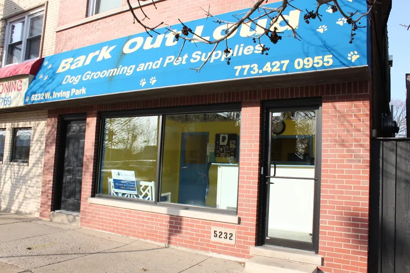 Bark Out Loud - Cat grooming in Chicago