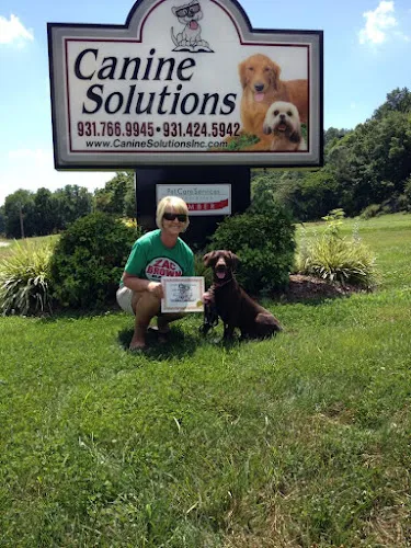 Canine Solutions - Cat grooming in Lawrenceburg