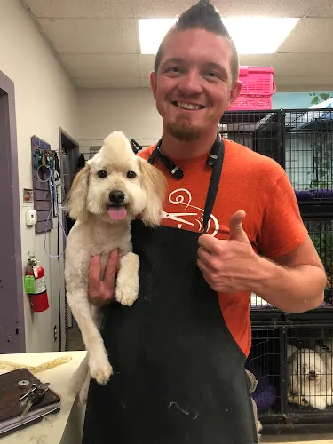 Groomingdales - Professional cat grooming in Visalia, CA