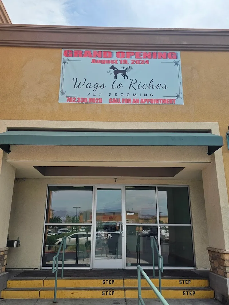 Wags to Riches - Mobile cat grooming in North Las Vegas, NV