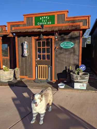 ANNA'S PET GROOMING (NATIONAL CERTIFIED MASTER GROOMER) - Cat grooming in Joshua Tree