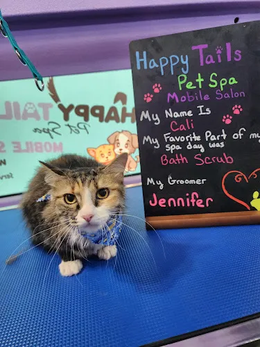 Happy Tails Pet Spa - Cat grooming in Fontana