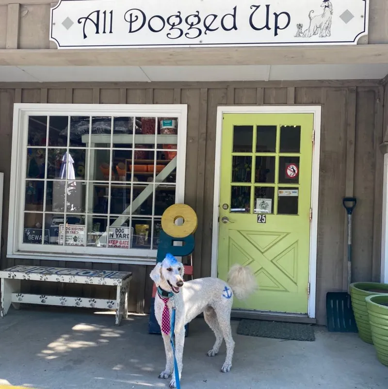 All Dogged Up Inc - Cat grooming in Shelter Island Heights