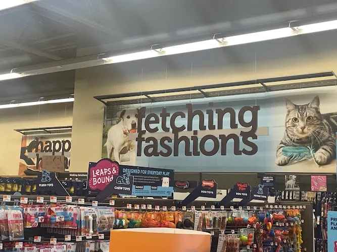 Petco Grooming - Cat grooming in Denton