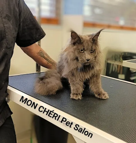 MON CHÉRI Pet Salon & Boutique - Cat grooming in Albuquerque