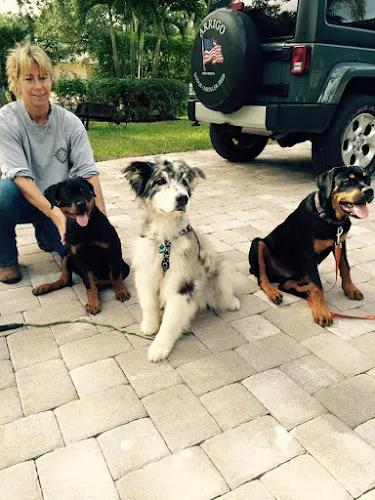 Paradise Pooch - Cat grooming in Stuart