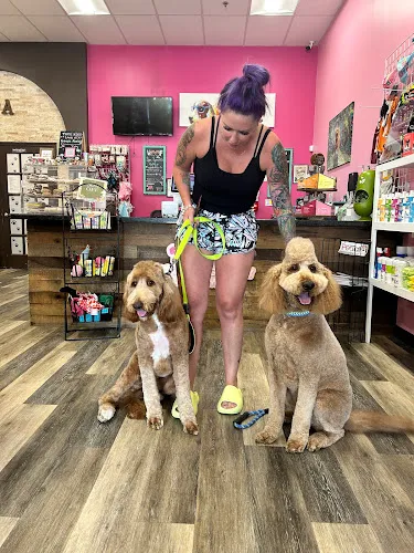 Woof Gang Bakery & Grooming Richmond - Cat grooming in Richmond
