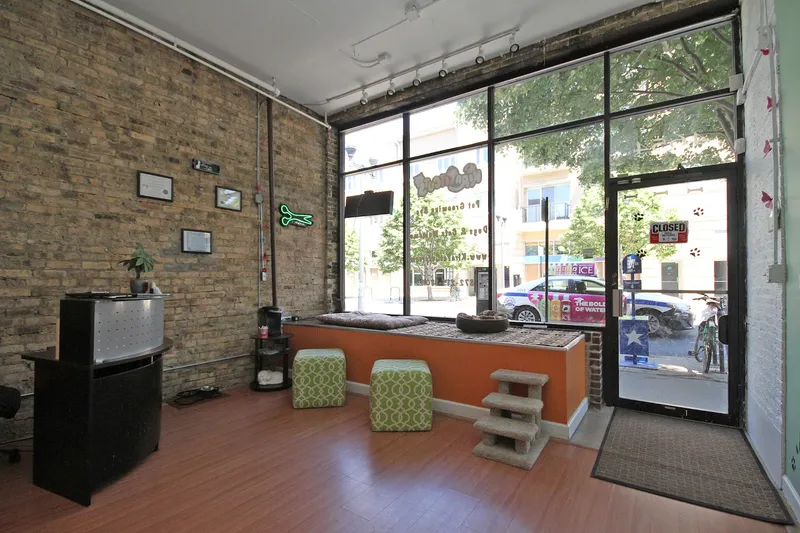 Kira Pet Cuts - Mobile cat grooming in Chicago, IL