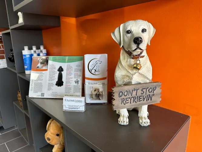 PJ Noah PetSalon - Cat grooming in Costa Mesa