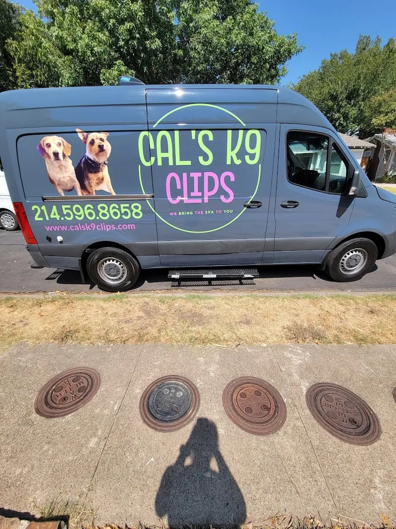 Cal's k9 Clips Mobile Dog Grooming - Cat grooming in Dallas