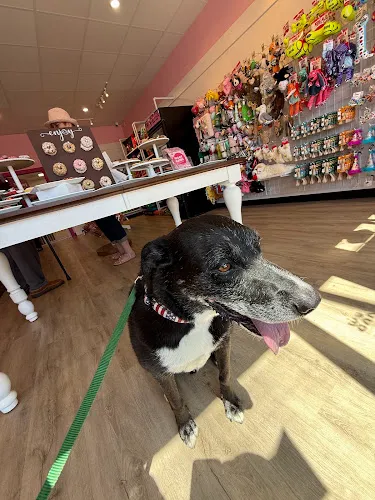 Woof Gang Bakery & Grooming Laguna Niguel - Professional cat grooming in Laguna Niguel, CA