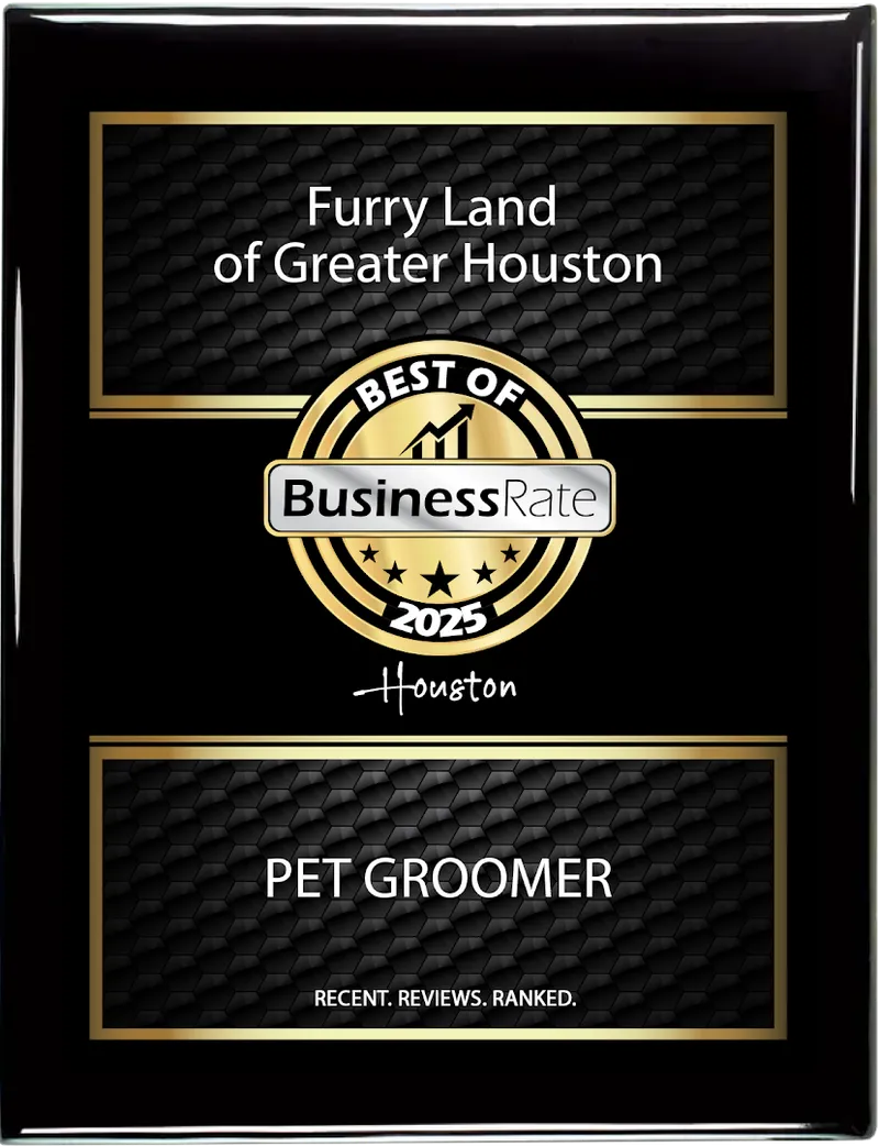 Furry Land of Greater Houston - Cat grooming in Houston