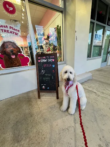 Woof Gang Bakery & Grooming The Falls - Cat grooming in Miami