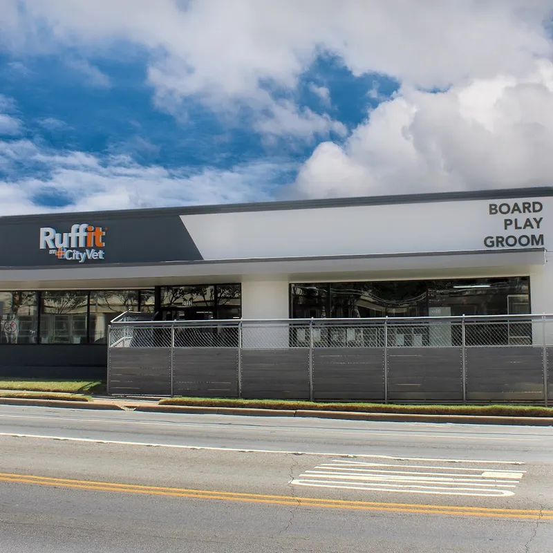 Ruffit | Oak Lawn - Cat grooming in Dallas