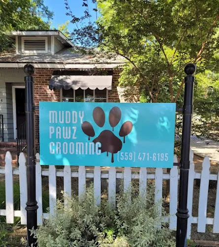 Muddy Pawz Grooming - Cat grooming in Exeter